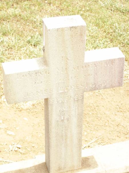 James Beresford SPARKES  | son,  | aged 3 days;  | Jandowae Cemetery, Wambo Shire  |   | 