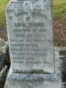 
Annie WEBER
10? Oct 1919
aged 43
Engelsburg Baptist Cemetery, Kalbar, Boonah Shire
