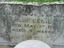 
Leslie BADKE
d: Aug 19 1913, aged 7 weeks
Cecil
1 May 1916, aged 9 weeks
St Johns Lutheran Church Cemetery, Kalbar, Boonah Shire

