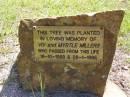 Viv MILLERS,
died 16-10-1993;
Myrtle MILLERS,
28-1-1995;
Kandanga Cemetery, Cooloola Shire