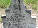 John OSHEA,
died 20 Jan 1904 aged 4 years;
Kilkivan cemetery, Kilkivan Shire