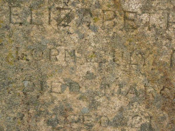 Mary Ann CAREY,  | died 10 Nov 1914 aged 69 years;  | John,  | died 20 Oct 1917 aged 80 years;  | Henry Walter,  | died 22 Oct 1888 aged 10 years;  | Elizabeth,  | born 12? July 1871,  | died March 1892 aged 21 years;  | Killarney cemetery, Warwick Shire  | 