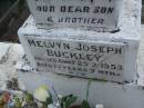 Melvyn Joseph BUCKLEY,
son brother,
died 25-2-1953 aged 13 years 7 months;
Lawnton cemetery, Pine Rivers Shire