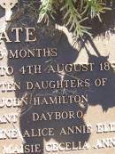 Kate,
eldest of 10 daughters of Alice & John HAMILTON
of My Pleasant Dayboro,
9 Mar 1891 - 4 Aug 1892 aged 16 months,
sister to Catherine, Alice, Annie, Eliza,
Mary, Margaret, Maisie, Cecilia, & Annie;
Lawnton cemetery, Pine Rivers Shire