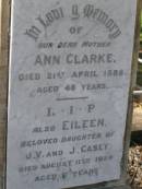 John CASEY,
died 7 March 1894 aged 56 years;
Margaret,
wife,
died 31 March 1897 aged 60 years;
Phil ROACH,
grandson,
drowned 26 June 1893 aged 2 years;
parents;
Thomas Francis CASEY,
died 28 July 1918 aged 48 years;
Elizabeth CASEY,
died 2 Oct 1942 aged 71 years;
Hilda, wife of J.J. CASEY,
died 11 March 1928 aged 52 years;
James John CASEY,
died 3 Dec 1937 aged 68 years;
Ann CLARKE,
mother,
died 21 April 1888 aged 48 years;
Eileen,
daughter of J.V. & J. CASEY,
died 11 Aug 1929 aged 7 years;
Jane,
wife of Philip RYAN,
died 17 April 1932 aged 58 years;
Lawnton cemetery, Pine Rivers Shire