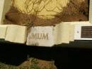 Ellen Amelia LANE (nee FRAHM),
mum,
born 20-2-1884,
died 27-4-1928;
Lawnton cemetery, Pine Rivers Shire