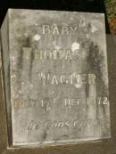 Thomas WAGNER,
baby,
died 17 Dec 1972;
Lawnton cemetery, Pine Rivers Shire