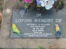Mitchell S. KLUVER,
died 2 Jan 1990 aged 21 months,
son of Wayne & Debbie,
brother of Holly and Allyce;
Lawnton cemetery, Pine Rivers Shire