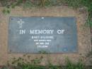 Baby WILSHIRE,
stillborn 3 Mar 1982;
Lawnton cemetery, Pine Rivers Shire