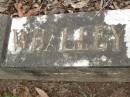 James WHALLEY,
husband father,
died 19 May 1947 aged 69 years;
Rosena WHALLEY,
wife,
died 21 May 1966 aged 84 years;
Lower Coomera cemetery, Gold Coast