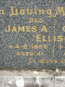 James A. ELLISON,
dad,
died 4-2-1956 aged 41 years;
Gladys G. ELLISON,
mum,
died 24-11-1967 aged 59 years;
Lower Coomera cemetery, Gold Coast