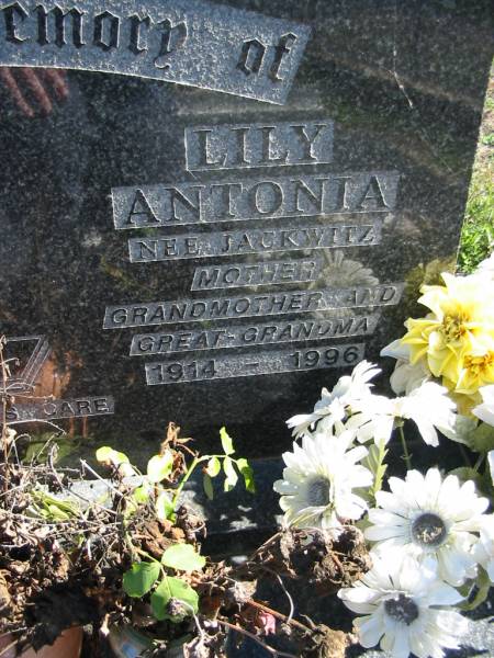 KAMMHOLZ;  | Walter William, 1917 - 1992, husband father grandfather great-grandfather;  | Lily Antonia, nee JACKWITZ, 1914-1996, mother grandmother great-grandmother;  | Lowood Trinity Lutheran Cemetery (St Mark's Section), Esk Shire  | 