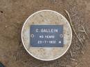 C. GALLEIN, male,
died 23-7-1922 aged 45 years;
Ma Ma Creek Anglican Cemetery, Gatton shire