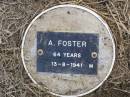 A. FOSTER, male,
died 13-8-1941 aged 64 years;
Ma Ma Creek Anglican Cemetery, Gatton shire