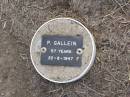 P. GALLEIN, female,
died 22-8-1947 aged 57 years;
Ma Ma Creek Anglican Cemetery, Gatton shire