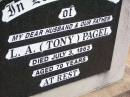 L.A. (Tony) PAGEL, husband father,
died 3 July 1963 aged 79 years;
Ma Ma Creek Anglican Cemetery, Gatton shire