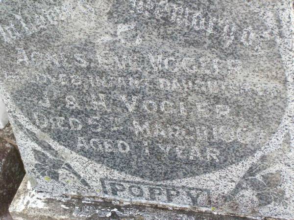 Agnes Eve (Poppy) VOGLER,  | infant daughter of J. & H. VOGLER,  | died 5 March 1907 aged 1 year;  | Ma Ma Creek Anglican Cemetery, Gatton shire  | 