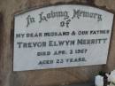 Trevor Elwyn MERRITT, husband father,
died 3 April 1967 aged 23 years;
Marburg Lutheran Cemetery, Ipswich
