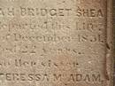 
Sarah Bridget SHEA,
died 5? Dec 1851 aged 22 years;
Ann Teressa MCADAM,
sister,
died 3? Feb 1850 aged 22 years;
erected by John SHEA;
Phelip Agustin MCADAM,
drowned at sea 1852 aged 18 years;
Susanah Mary MCADAM,
drowned at sea 1852 aged 20 years;
Pioneer Cemetery, Maryborough
