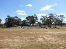 

Meandarra cemetery
Copyright Dr Matt Barton
