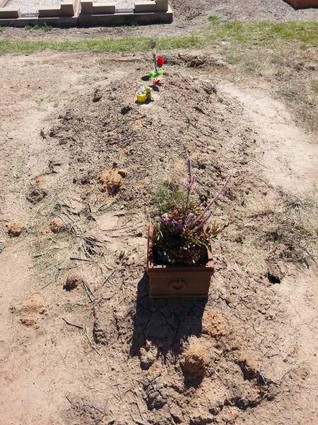   | Meandarra cemetery  | Copyright Dr Matt Barton  | 