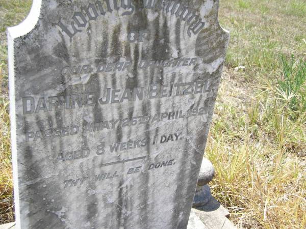 Daphne Jean BEITZEL,  | daughter,  | died 26 April 1921 aged 8 weeks 1 day;  | Milbong St Luke's Lutheran cemetery, Boonah Shire  | 