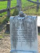
Annie E SIPPEL
B: 10 Apr 1861, D: 26 Sep 1926
MindenCoolana - St Johns Lutheran 

