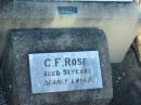 
Carl A ROSE
B: 3 Aug 1846, D: 25 May 1928
C.F. ROSE
aged 51 
MindenCoolana - St Johns Lutheran 
