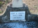 
Edie A PAGEL
B: 1900, D: 1930
MindenCoolana - St Johns Lutheran 

