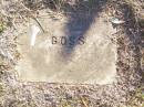 GOSS;
St Johns Evangelical Lutheran Church, Minden, Esk Shire