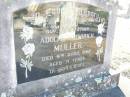 Adolph Friedrich MULLER, father,
died 9 April 1960 aged 71 years;
St Johns Evangelical Lutheran Church, Minden, Esk Shire