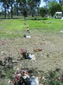 Moore-Linville general cemetery, Esk Shire