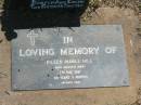 Eileen Mable HILL,
mum, nana,
died 7 May 1987 aged 69 years 5 months;
remembered by Doreen & Colin & the George family;
Moore-Linville general cemetery, Esk Shire