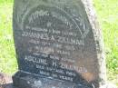 Johannes A. ZILLMAN.
husband father,
died 10 June 1965 aged 84 years;
Adeline H. ZILLMAN,
mother,
died 29 Aug 1965 aged 86 years;
Moore-Linville general cemetery, Esk Shire