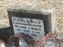 William J BAILLS
18 Mar 1919
aged 37
Mt Walker HistoricPublic Cemetery, Boonah Shire, Queensland