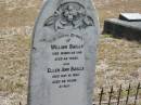 William BAILLS
25 Mar 1916
aged 66 yrs
Ellen Ann BAILLS
31 May 1922
aged 63 yrs
Mt Walker HistoricPublic Cemetery, Boonah Shire, Queensland