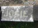 Josephine HAACK (Josie)
d: 14 Mar 1989, aged 43
Mt Cotton Gramzow Cornubia Carbrook Lutheran Cemetery, Logan City