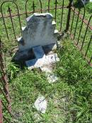 Heinrich WOLFF,
born 4 Jan 1840 died 6 Feb 1905;
Mt Beppo General Cemetery, Esk Shire