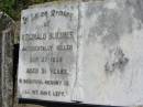 Reginald BLIESNER (Reg),
accidentally killed 27 Sept 1938 aged 21 years;
Mt Beppo General Cemetery, Esk Shire