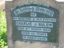 Charlie J. BULOW, son brother,
died 9 March 1954 aged 43 years;
Mt Beppo General Cemetery, Esk Shire