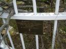 Aleppo pine
descendamt of the original Lone Pine of Gallipoli.
Pioneers Memorial, Elsie Laver Park, Mudgeeraba