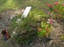 Mario OGRAZDEN,
1951 - 2002,
remembered by mother & family;
Mudgeeraba cemetery, City of Gold Coast