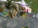 Mudgeeraba cemetery, City of Gold Coast