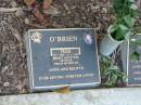 Trish OBRIEN,
25-7-1945 - 8-11-2007,
wife of Peter,
mother of Anita, Kelwyn;
Mudgeeraba cemetery, City of Gold Coast