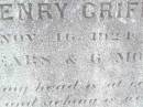 Thomas Henry GRIFFITHS, son brother,
died 16 Nov 1924 aged 30 years 6 months;
Murphys Creek cemetery, Gatton Shire