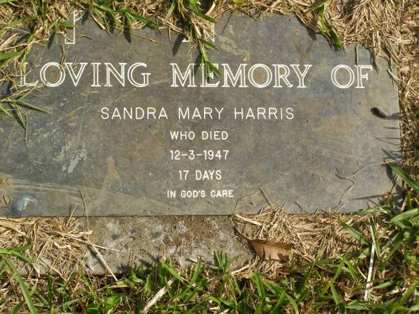 Sandra Mary HARRIS,  | died 12-3-1947 aged 17 days;  | Murwillumbah Catholic Cemetery, New South Wales  | 
