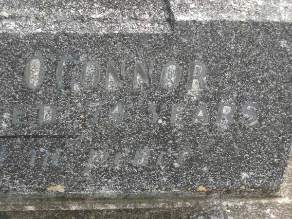 Sophia Susan O'CONNOR,  | died 14 June 1940 aged 70 years;  | Gerald Charles O'CONNOR,  | died 15 Oct 1950 aged 74 years;  | Murwillumbah Catholic Cemetery, New South Wales  | 