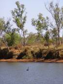 Ashburton River, Old Onslow, WA