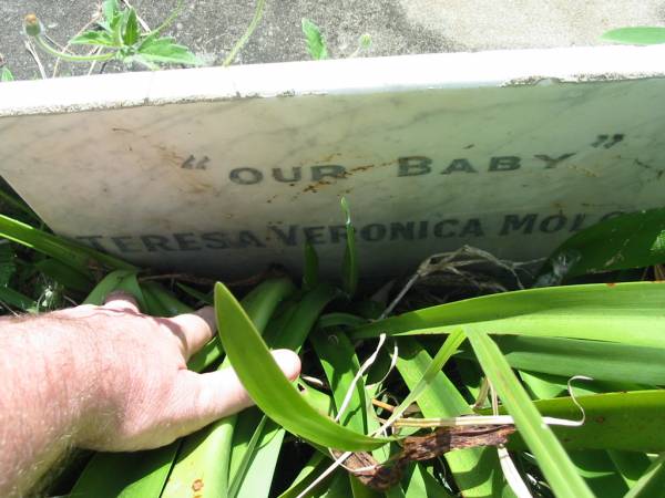 parents;  | Teresa E. MOLONEY,  | died 14 June 1963 aged 82 years;  | Michael MOLONEY,  | died 7 Jan 1969 aged 83 years;  | Teresa Veronica MOLONEY, baby sister,  | died 4 Sept 1922;  | St James Catholic Cemetery, Palen Creek, Beaudesert Shire  | 