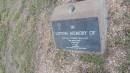 Michael Edward MULLINS
d: 7 May 1988 aged 17
Peak Downs Memorial Cemetery Capella Cemetery